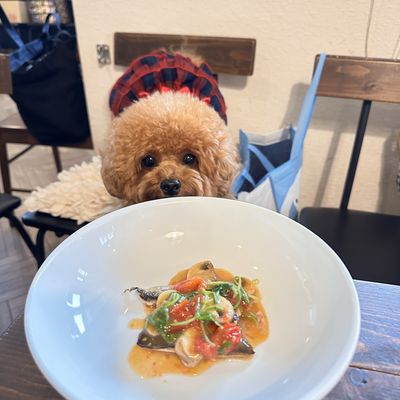 Art Cafeナナイロの写真