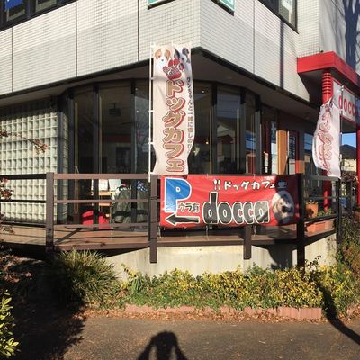Dog Cafe Docca ドッカ 埼玉の犬 同伴okの飲食店 ドッグカフェ 愛犬と旅行 イヌトミィ