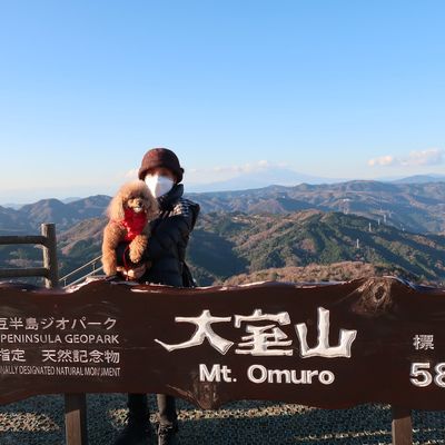 伊豆高原　大室山登山リフトの写真