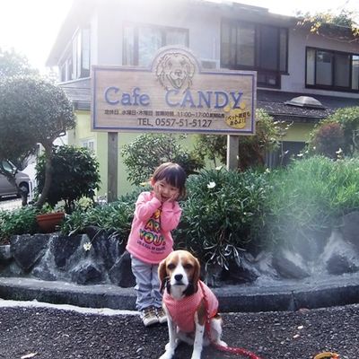 Cafe CANDY（ドッグカフェ・キャンディ）の写真