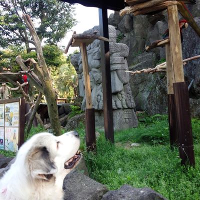 伊豆シャボテン動物公園の写真