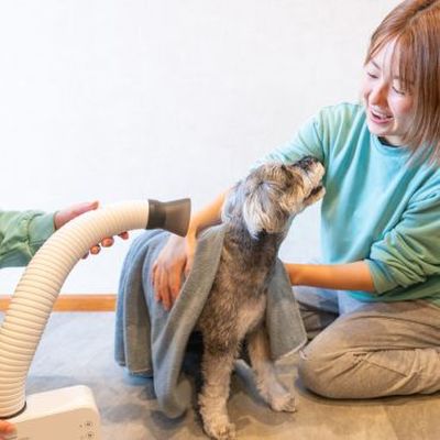 ビジョングランピングリゾート山中湖の写真