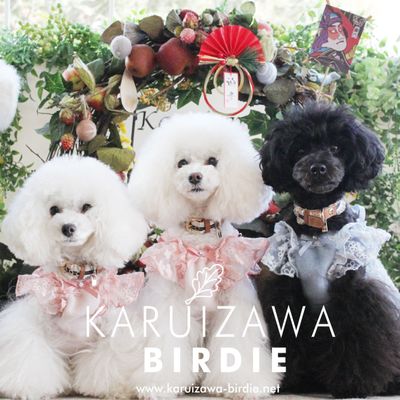 軽井沢BIRDIE DOG Lover's shop + CAT　（軽井沢 バーディードッグラバーズショップ）の写真