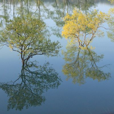 コテージ村　木湖里館「Kicori-Kan」の写真