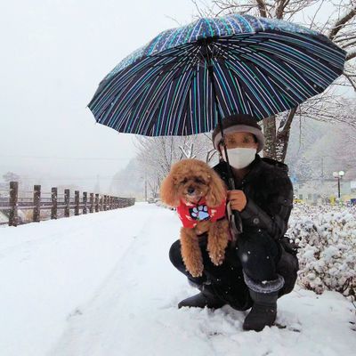 道の駅 どうしの写真