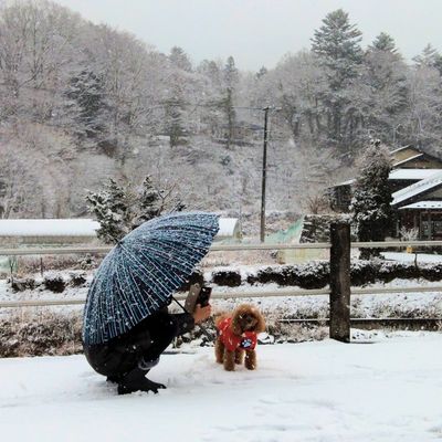 道の駅 どうしの写真