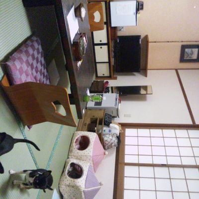 旅館　弁天荘の写真
