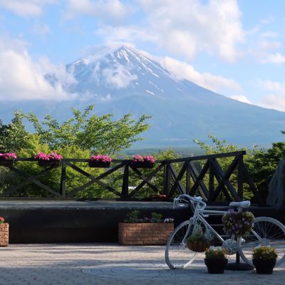 ハーブ庭園 旅日記 富士河口湖庭園の写真