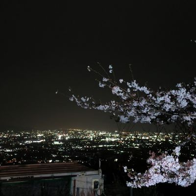 富士市　岩本山公園の写真