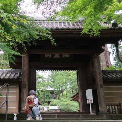 鎌倉「円覚寺」の写真