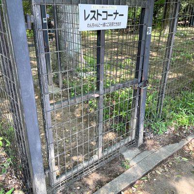 国営武蔵丘陵森林公園の写真