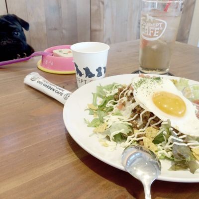 DOG DEPT +CAFE　湘南江ノ島の写真