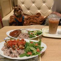 「犬連れが多くいるカフェ」の画像