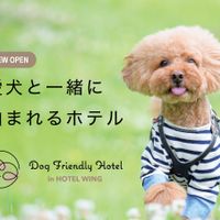 池袋 犬と楽しめる旅行 観光 お出かけスポット一覧 イヌトミィ